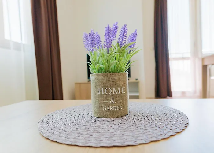 Black Sea 公寓 圣弗拉斯